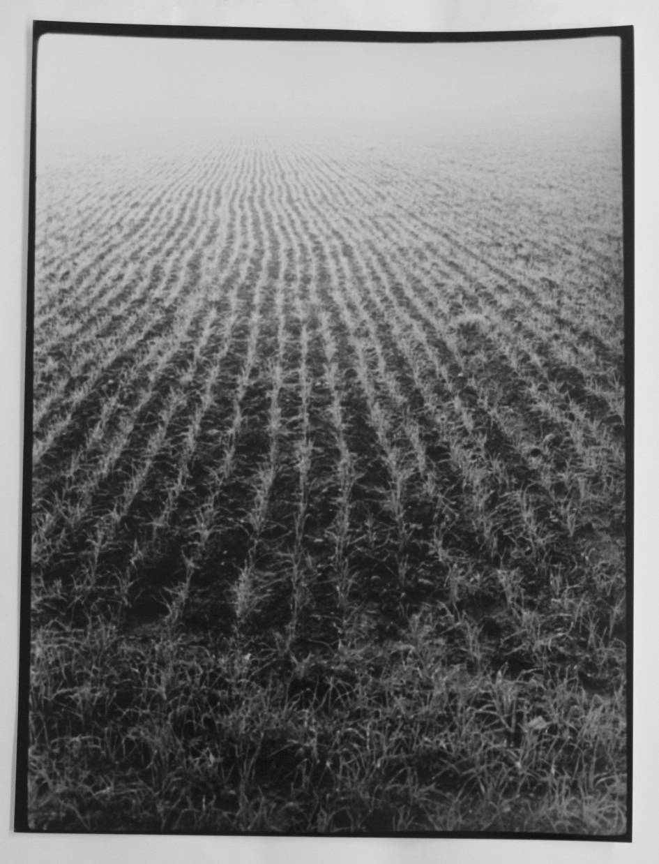 sillons photographie noir et blanc