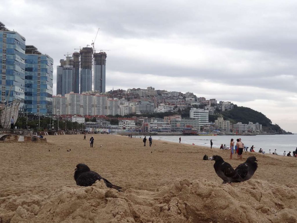 plage de Busan avec vue sur les immeubles modernes de la ville