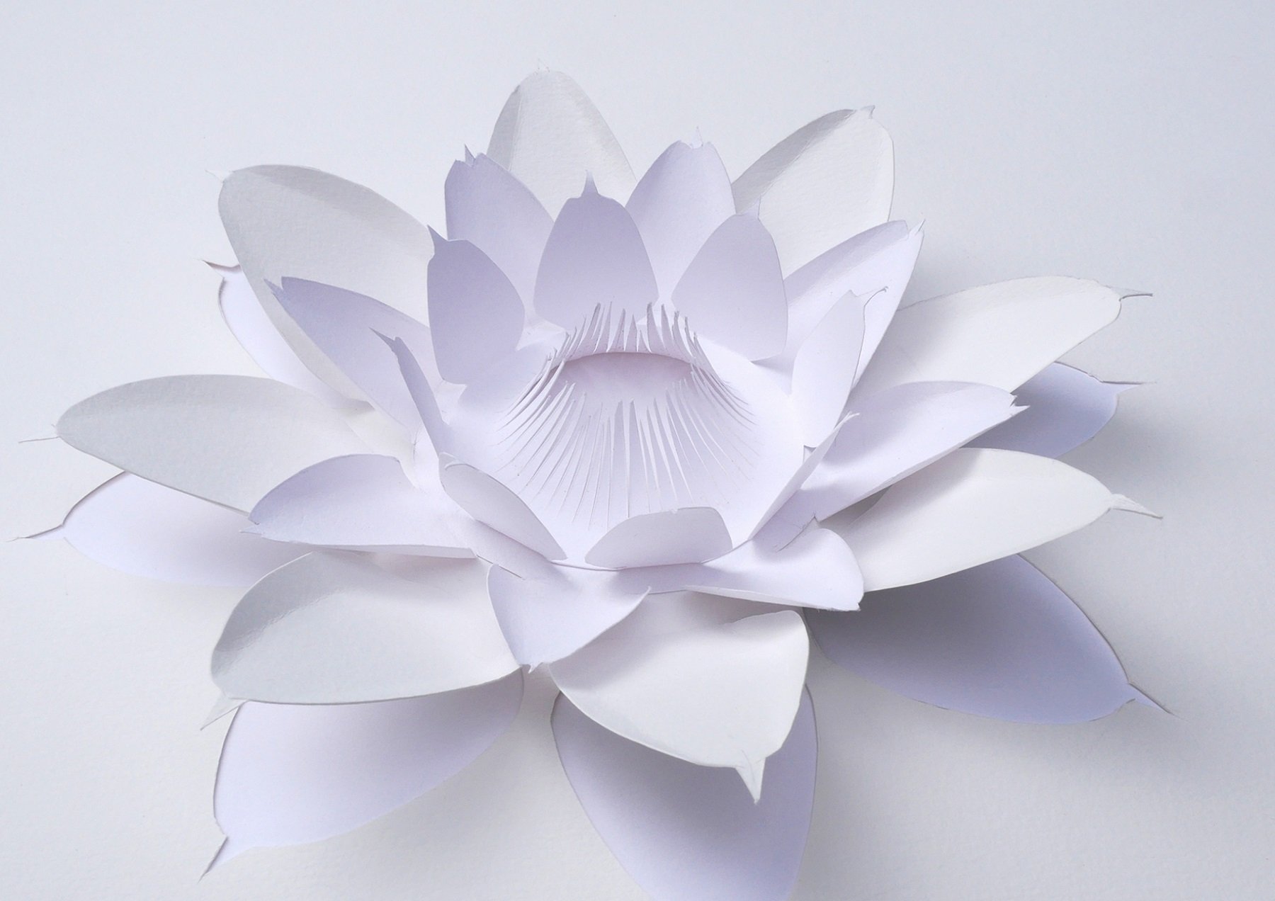 Fleur en papier