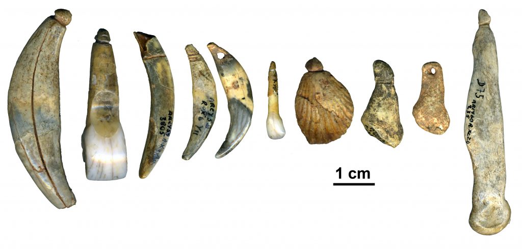 Serie de dents et coquilles percés ou incisés