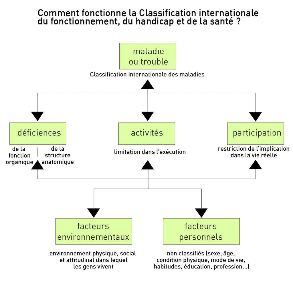 Classification internationale du fonctionnement et de la santé (CIF) de l'OMS : Schéma de la structure de la classification, plus interactif : une maladie, des facteurs environnementaux et personnels peuvent entraîner des déficiences et/ou une limitation des activités et/ou une restriction de la participation. 