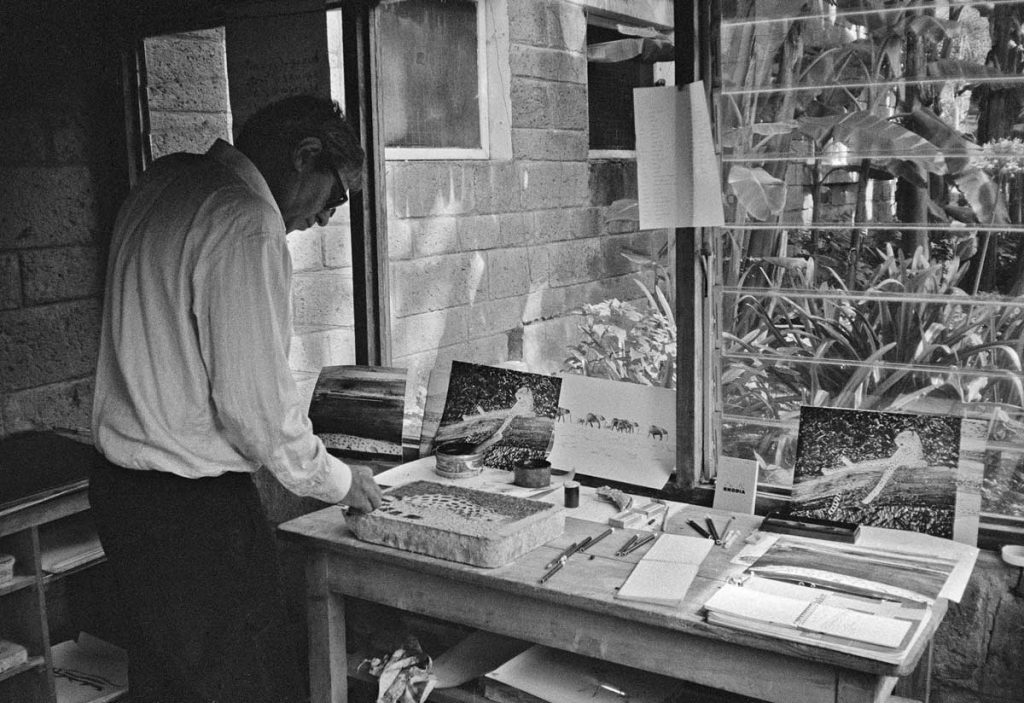 Gilles Aillaud dessinant un serval couché sur une pierre lithographique, dans l'atelier lithographique improvisé dans la ferme africaine.