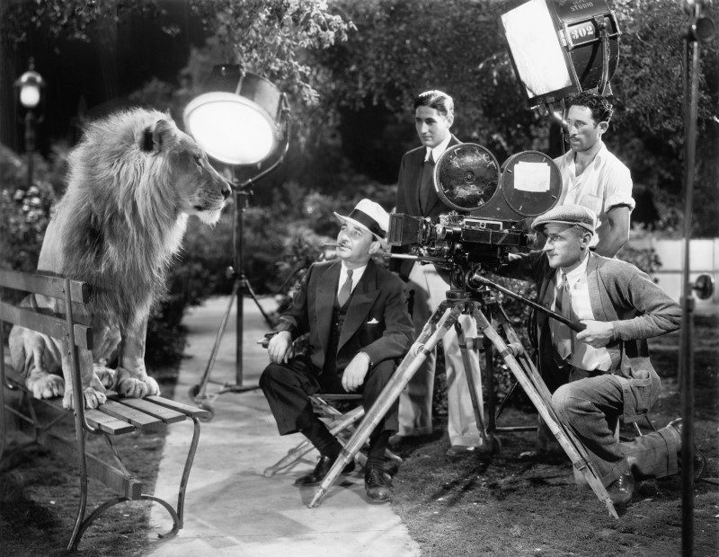 Photo en noir et blanc, représentant un lion, posant pour un tournage de film. Il est assis sur un banc, et regarde la caméra tenue par un homme. Autour de cet homme, des projecteurs de cinéma, et trois autres hommes qui observent la scène. La photo semble avoir été prise durant la première moitié du 20<sup>e</sup> siècle, au vu des vêtements des personnages et du matériel cinématographique.