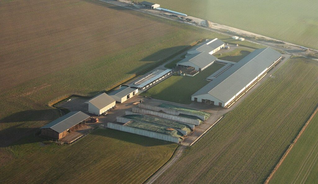 ferme des mille vache