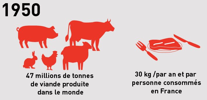reprise des données avec picto : en 1950, 47 millions de tonnes de viande sont produite dans le monde. En France, on consomme 30 kg de viande par an et par habitant