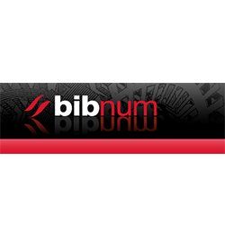 Logo du site BibNum Education