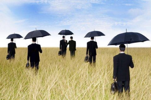 Groupe de businessmen marchant dans un champ avec des parapluies