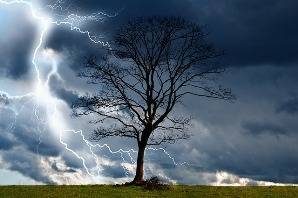 Photographie d'un arbre sous l'orage