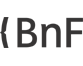 nouvelle fenêtre sur le site de la BNF