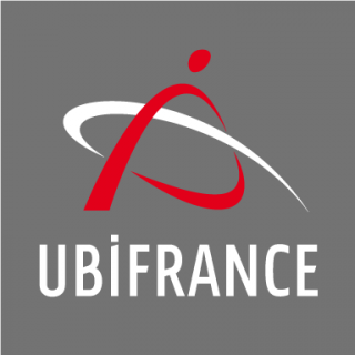 logo de l'Agence française pour le développement international des entreprises