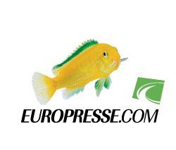 logo de la base Europresse