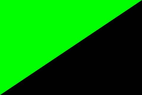 Drapeau noir et vert de l'anarcho-primitivisme