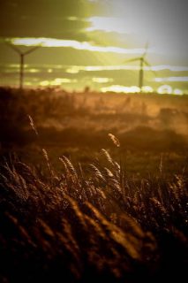 Photographie d'éoliennes