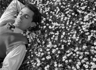 portrait d'un jeune homme allongé dans un champ de fleurs