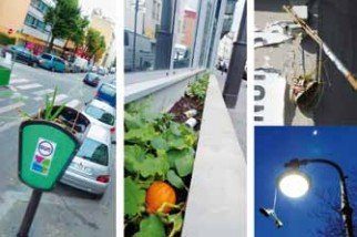 exemples d'actions de la Guerilla Gardening France