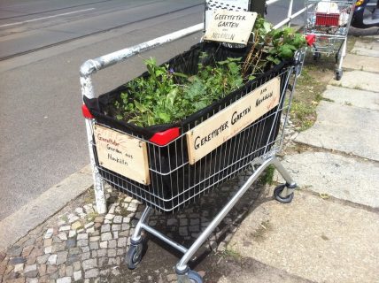 Plantation dans un chariot de supermarché