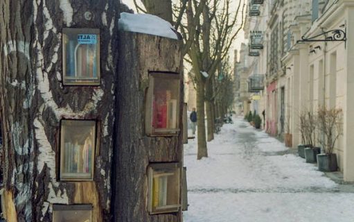 Bibliothèque creusée dans un arbre à Berlin