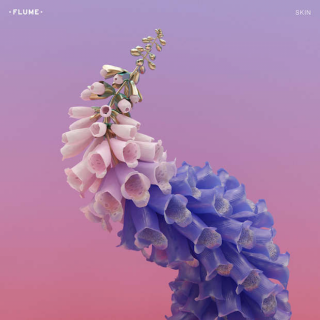 Pochette de l'album Skin du DJ Flume