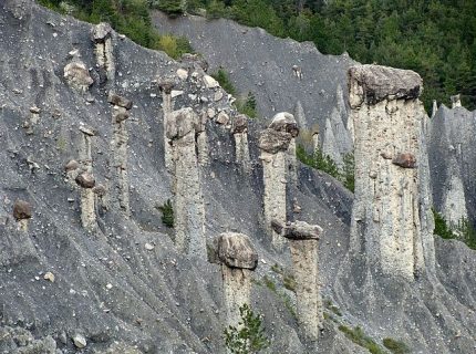 Photographie de plusieurs "demoiselles coiffées"