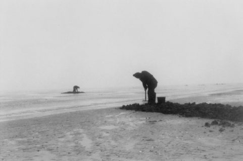 Hommes au travail sur la Waddenzee, zone cotière