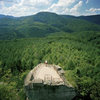 Un vestige de forteresse marquant une frontière dans une forêt alsacienne