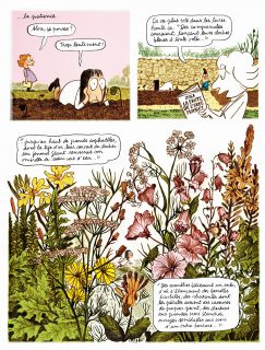 Une planche des Grands Espaces avec des fleurs