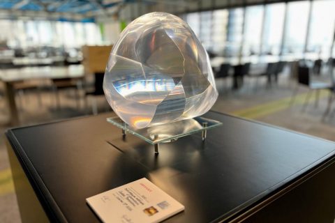 photo d'un gömböc en exposition dans l'espace Sciences de la bibliothèque